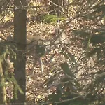 Erika's Haus In Der Sonne * Bad Grund