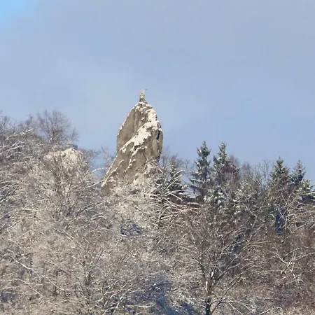 Apartment Erika's Haus In Der Sonne Bad Grund