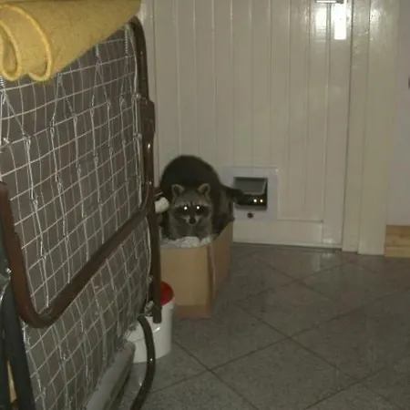 Erika's Haus In Der Sonne Apartment Bad Grund