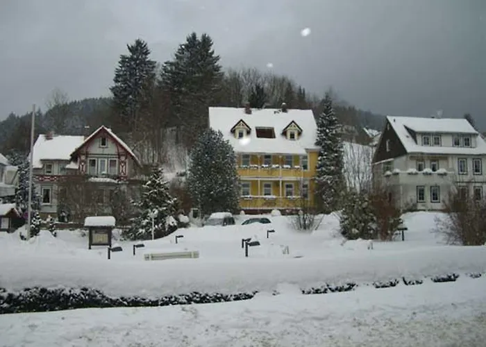 Erika's Haus In Der Sonne * Bad Grund