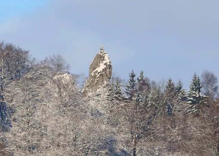 Appartamento Erika's Haus In Der Sonne Bad Grund