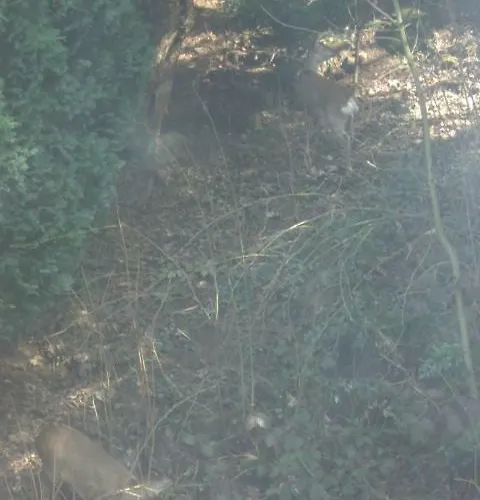 Erika's Haus In Der Sonne *