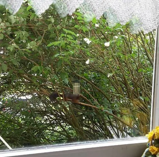 Appartamento Erika's Haus In Der Sonne Bad Grund