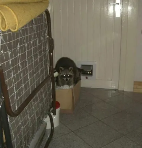 Erika's Haus In Der Sonne Appartamento Bad Grund